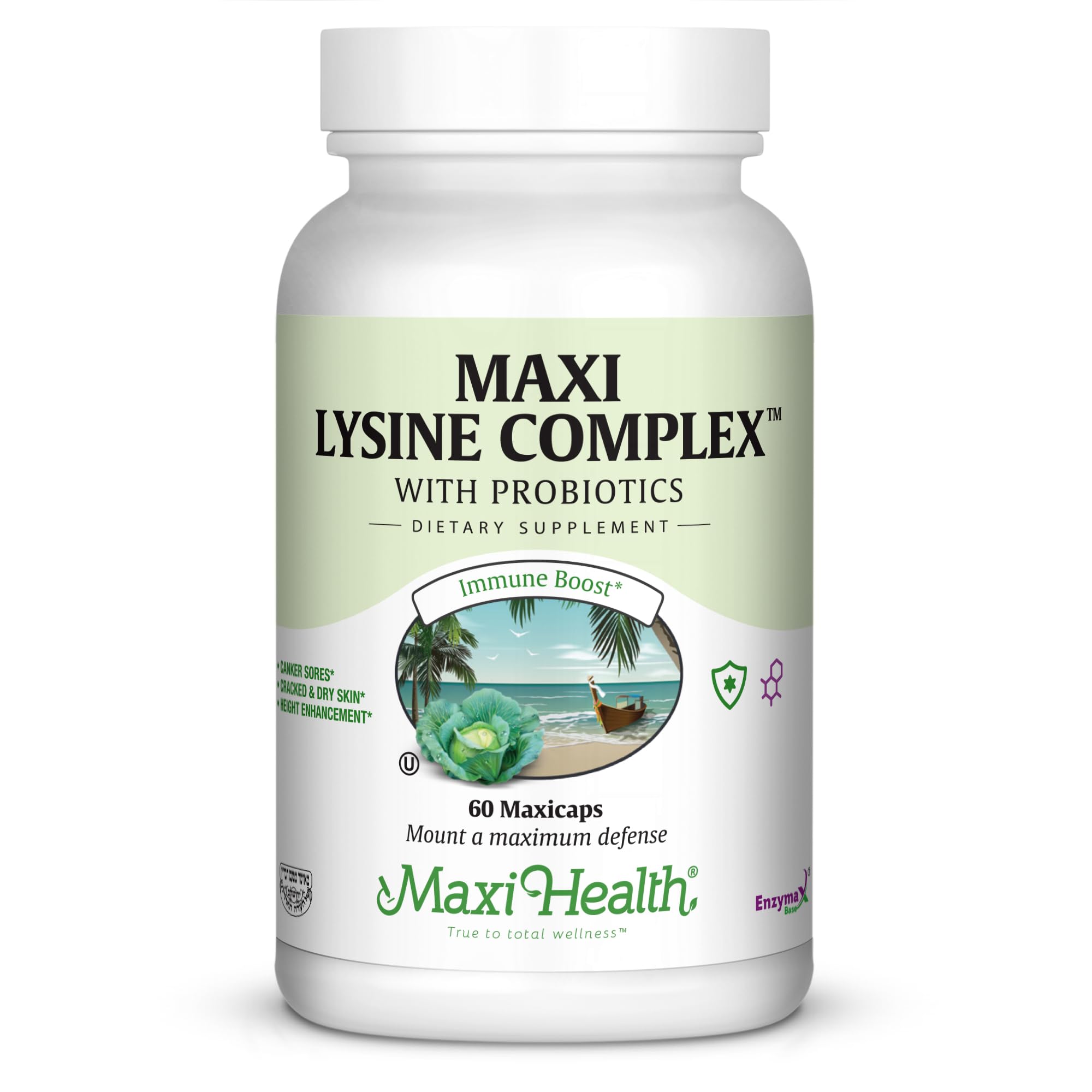 【NAOK】 Lysin HelixMirror 40kg① Amazon.com: Lysine Complex with Probiotics - L-Lysine 1000mg